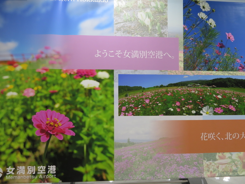 f:id:kataseumi:20181029013234j:plain f:id:kataseumi:20181029013234j:plain