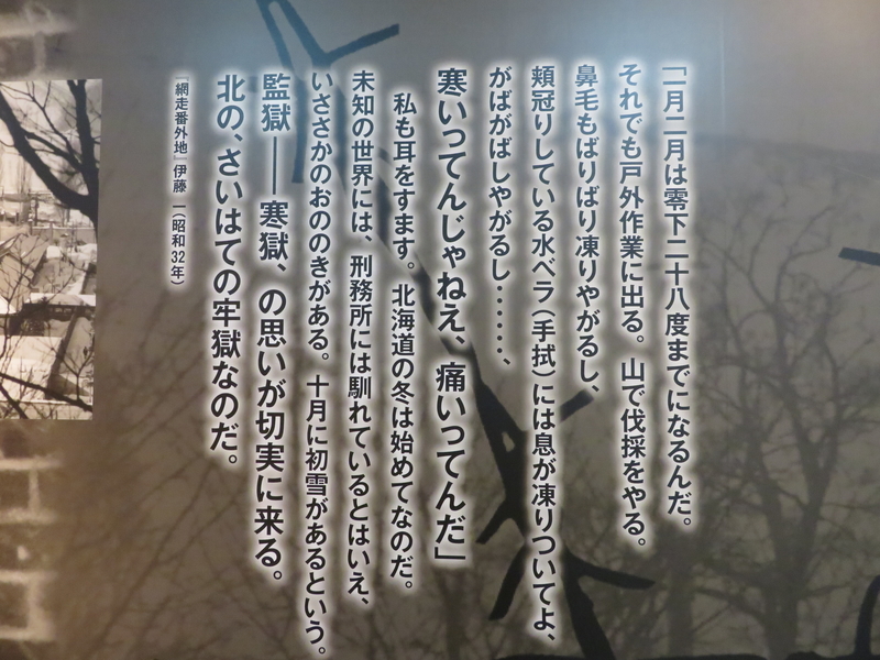 f:id:kataseumi:20181029013329j:plain f:id:kataseumi:20181029013329j:plain