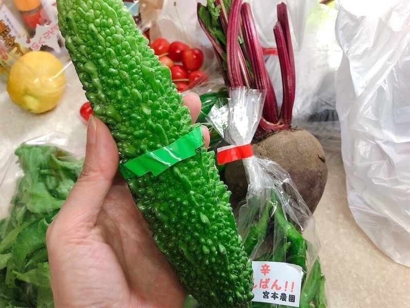北海道産ゴーヤの写真