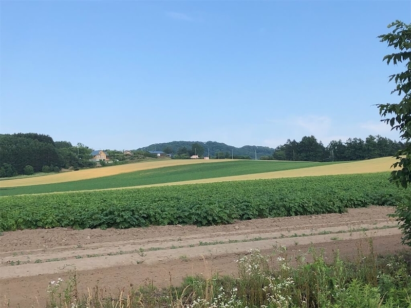 長沼田園風景の写真