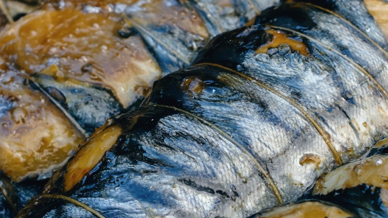 塩サバの塩抜き方法をやさしく解説｜しょっぱさを抑えておいしく食べるコツ