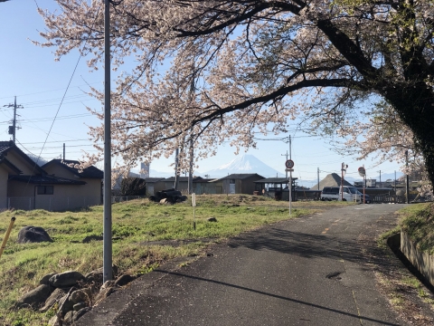 IMG_1860_2019041319062349c.jpg