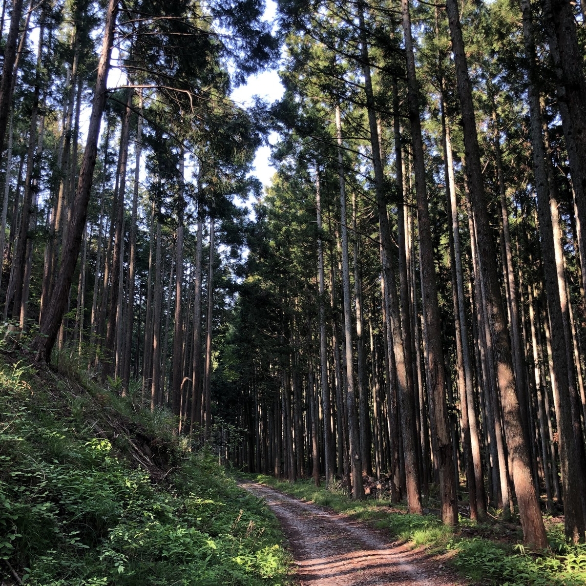 f:id:katatewaza:20190512222659j:plain