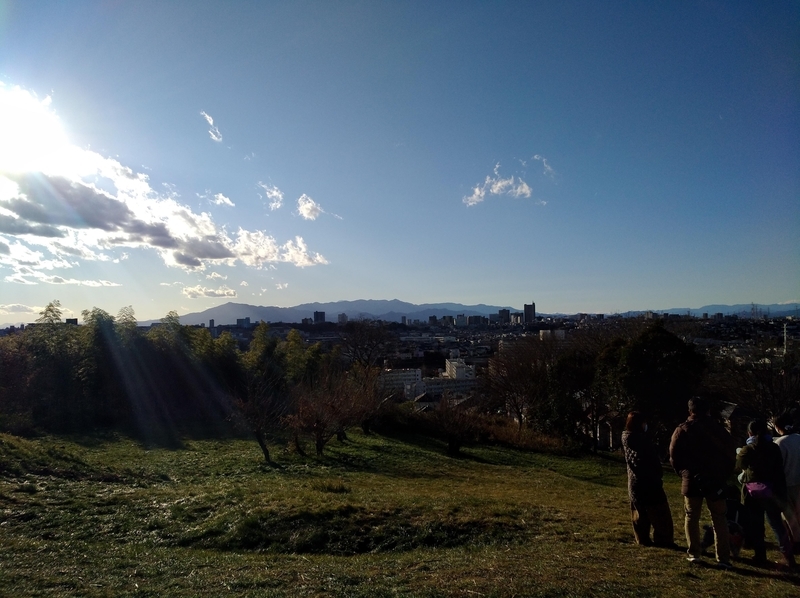 f:id:katatumuko:20210102213357j:plain