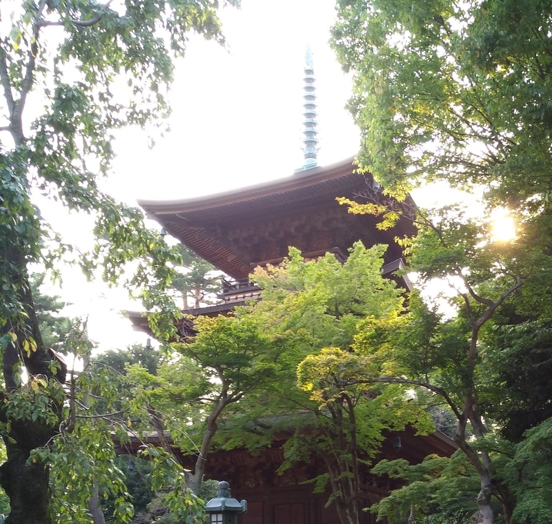 f:id:katatumuko:20210120130452j:plain