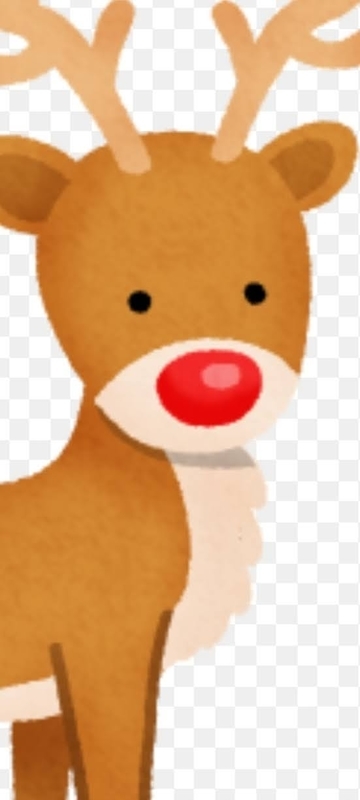 f:id:katatumuko:20210305224532j:plain