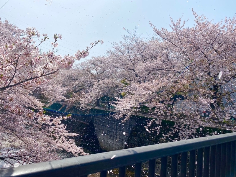 f:id:katatumuko:20210401201835j:plain