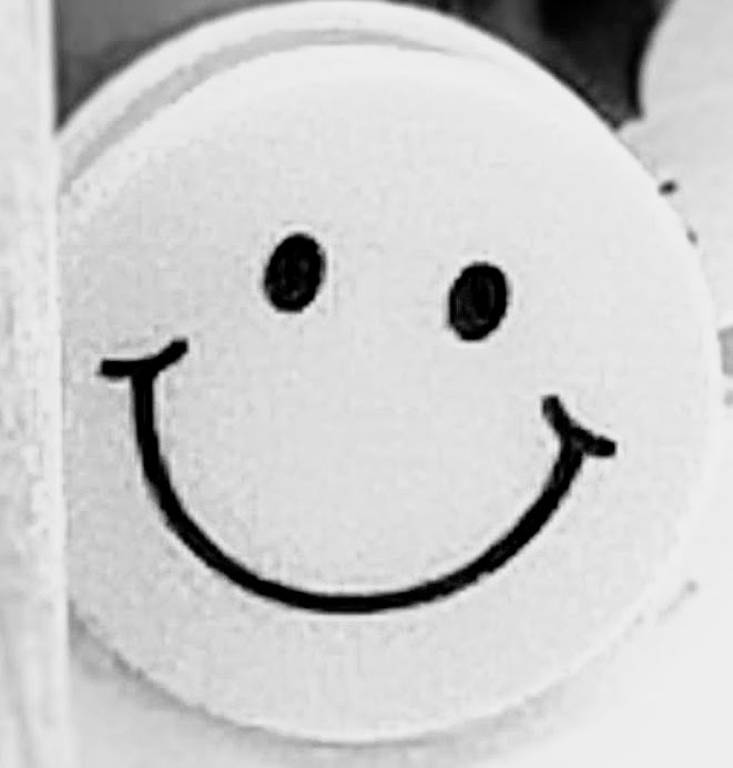 f:id:katatumuko:20210614231342j:plain