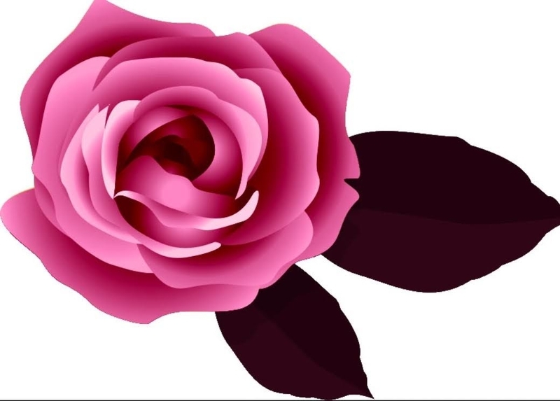 f:id:katatumuko:20210626223858j:plain