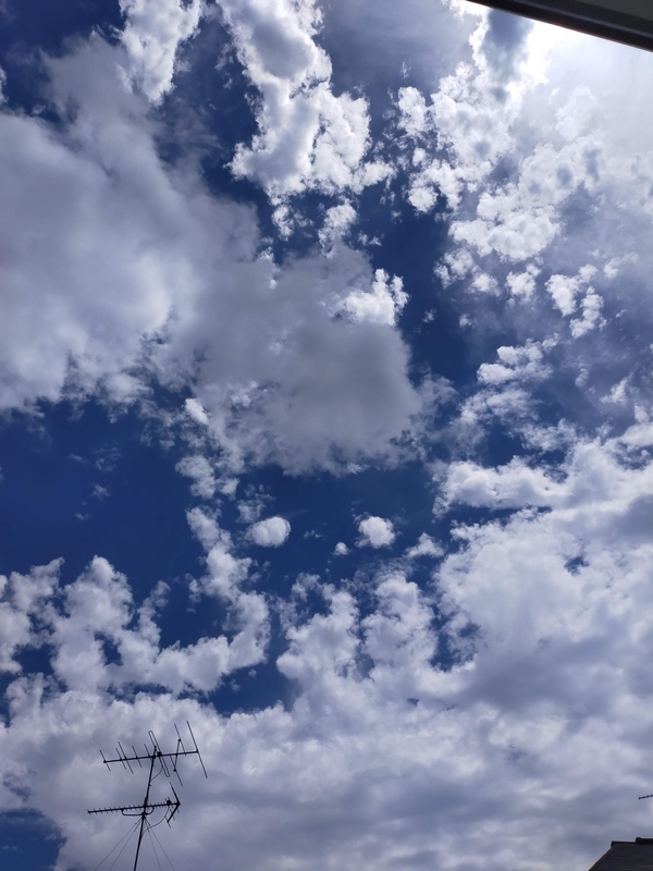 f:id:katatumuko:20210707223802j:plain