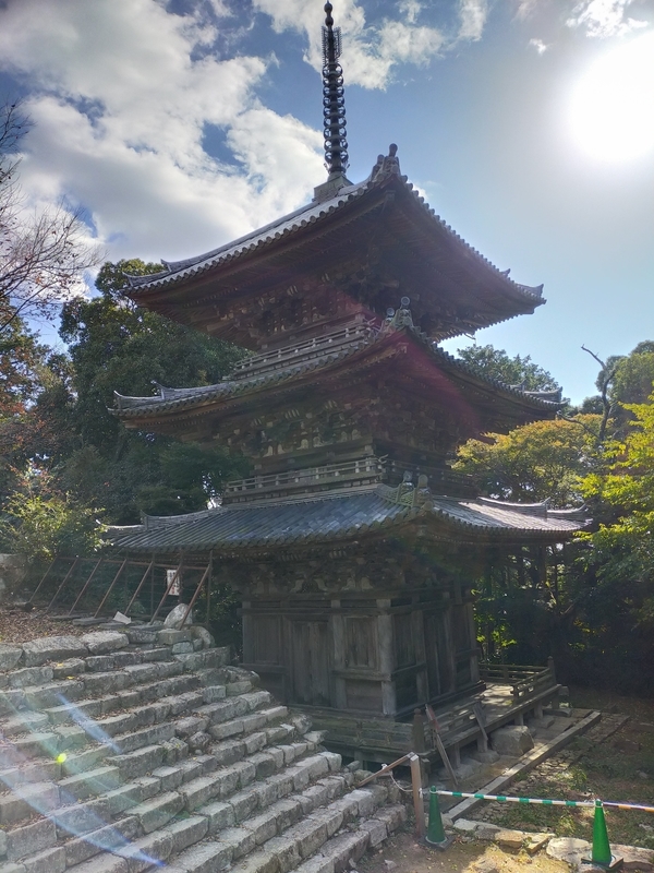 f:id:katatumuko:20211128225205j:plain