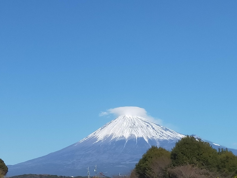 f:id:katatumuko:20220103215809j:plain