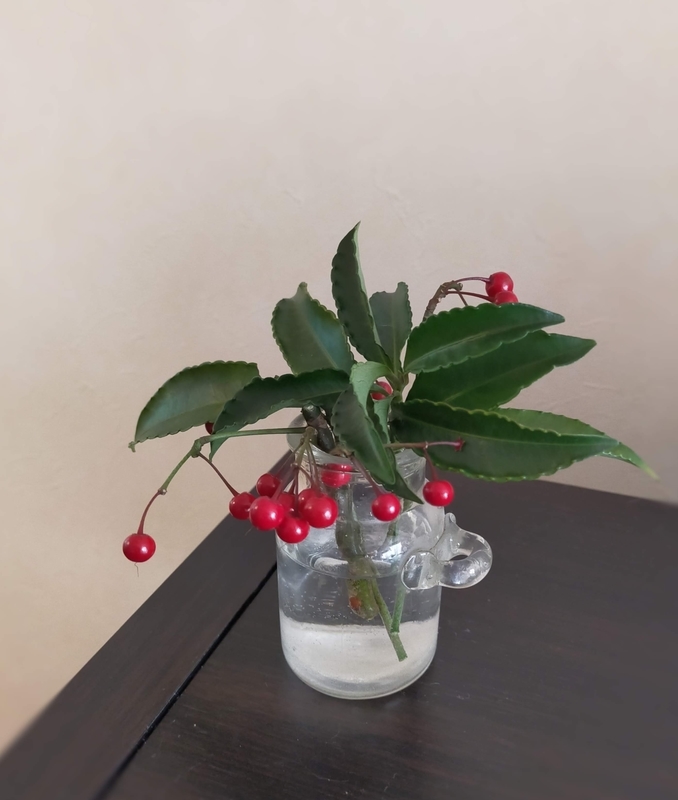 f:id:katatumuko:20220107232150j:plain