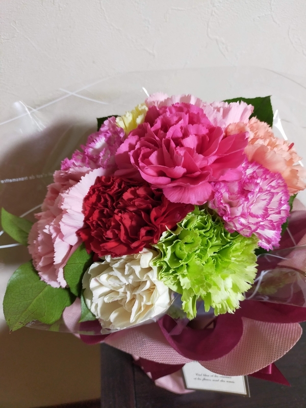 f:id:katatumuko:20220331235204j:plain