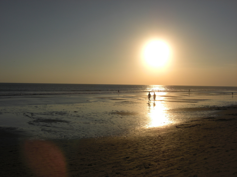 f:id:katayama-lawoffice:20120819185343j:image:w640