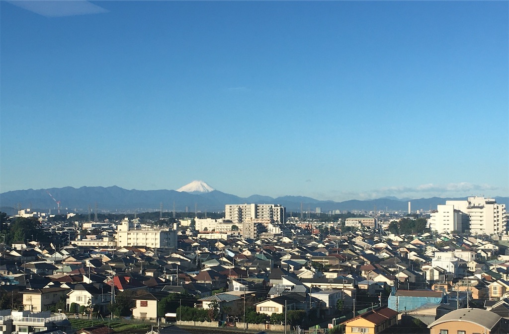 f:id:katayamasayuri:20220318155252j:image f:id:katayamasayuri:20220318155252j:image