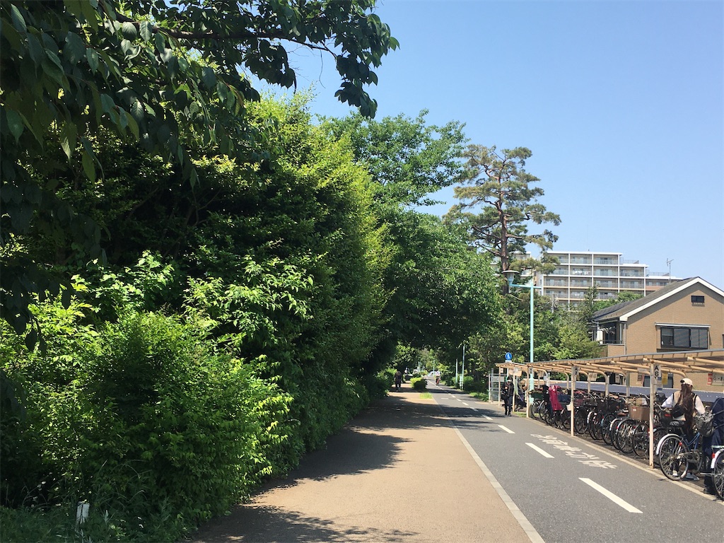 f:id:katayamasayuri:20220519221814j:image f:id:katayamasayuri:20220519221814j:image