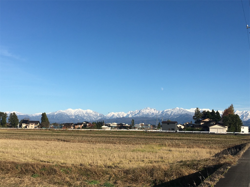 f:id:katayamasayuri:20221205194432j:image f:id:katayamasayuri:20221205194432j:image