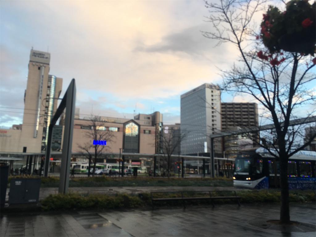 f:id:katayamasayuri:20221205194439j:image f:id:katayamasayuri:20221205194439j:image