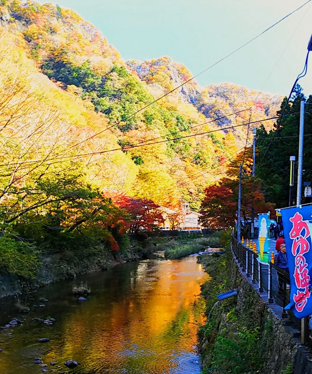 f:id:katayoku_no_hito:20171112105541j:plain