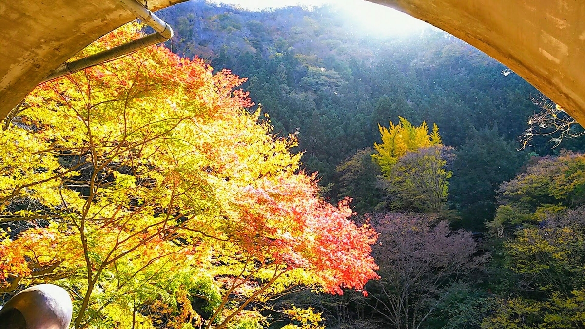 f:id:katayoku_no_hito:20171112114947j:plain
