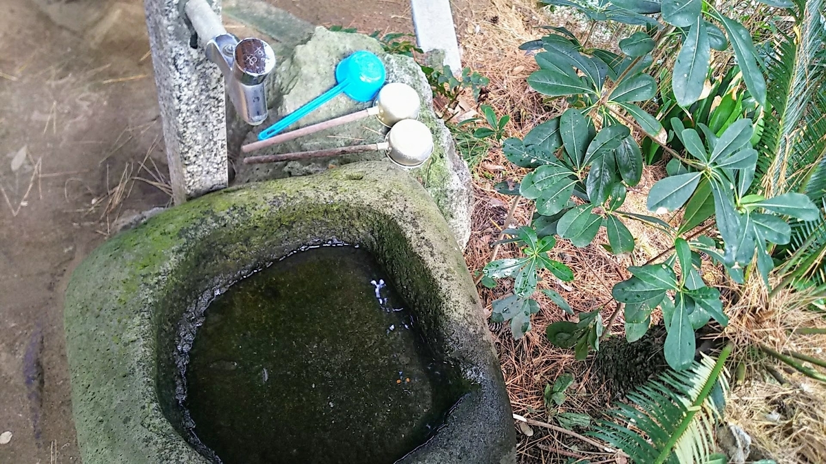 f:id:katayoku_no_hito:20190212114045j:plain f:id:katayoku_no_hito:20190212114045j:plain