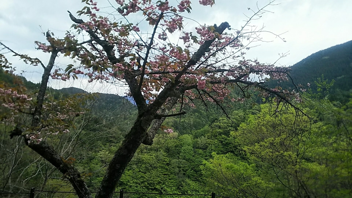 f:id:katayoku_no_hito:20190428145723j:plain