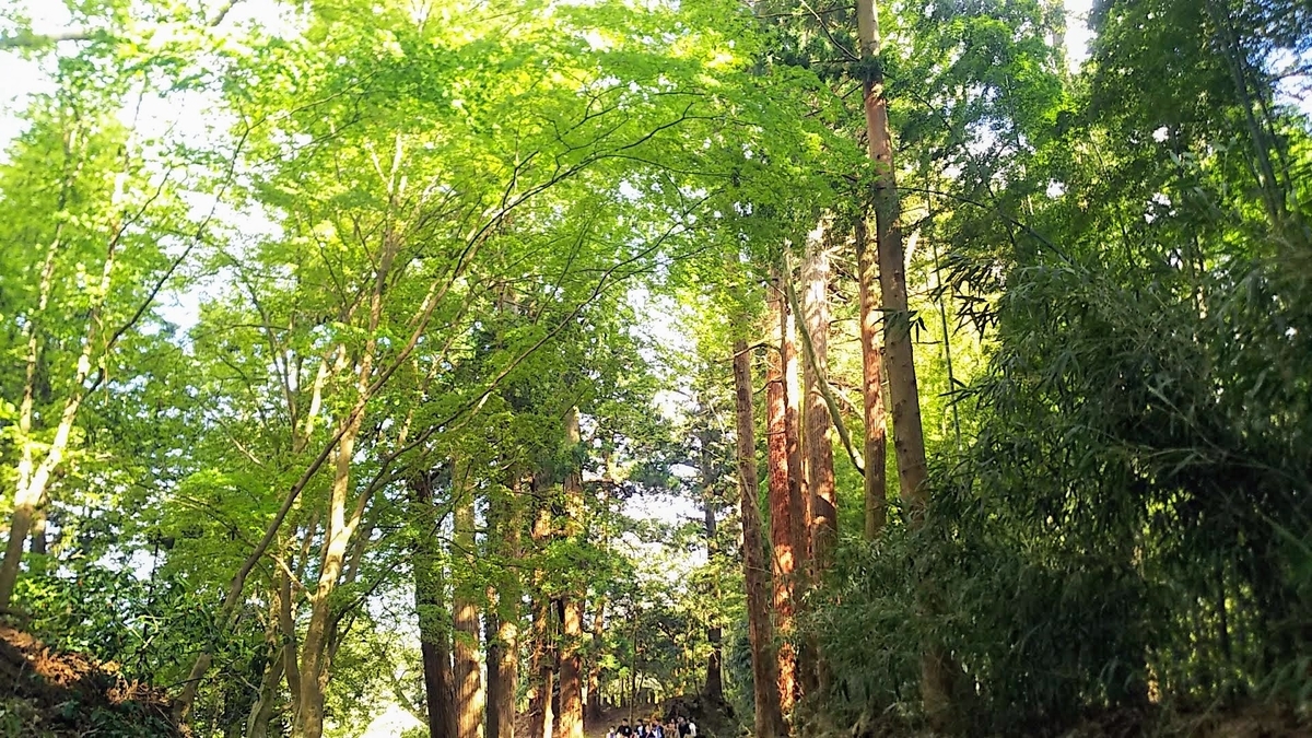 f:id:katayoku_no_hito:20190502145347j:plain f:id:katayoku_no_hito:20190502145347j:plain