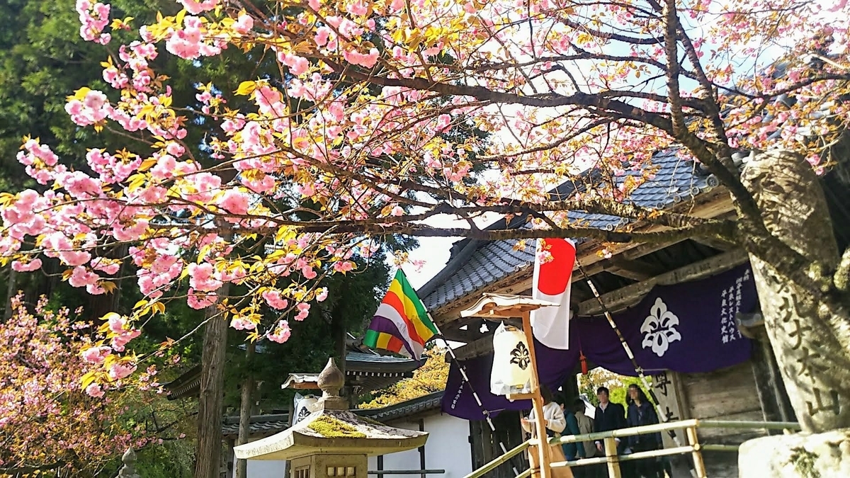 f:id:katayoku_no_hito:20190516233740j:plain f:id:katayoku_no_hito:20190516233740j:plain