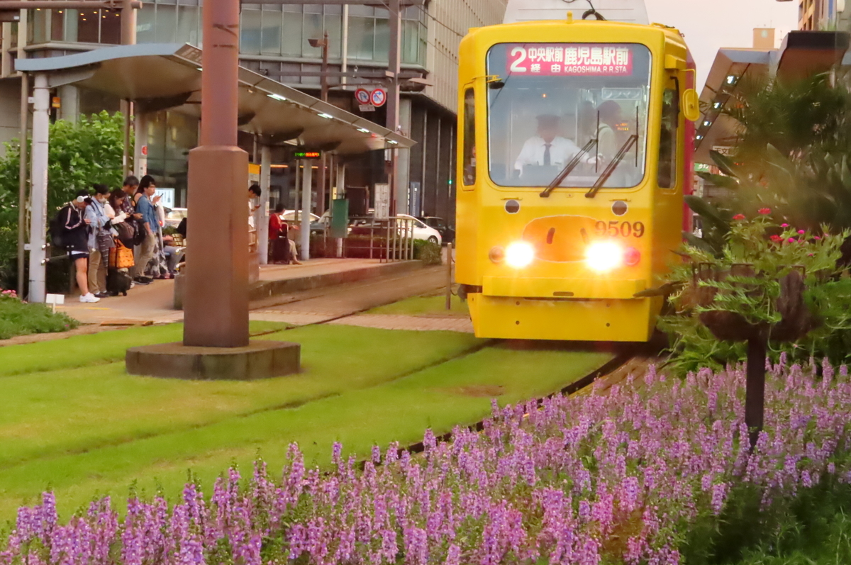 f:id:katayoku_no_hito:20190914181403j:plain