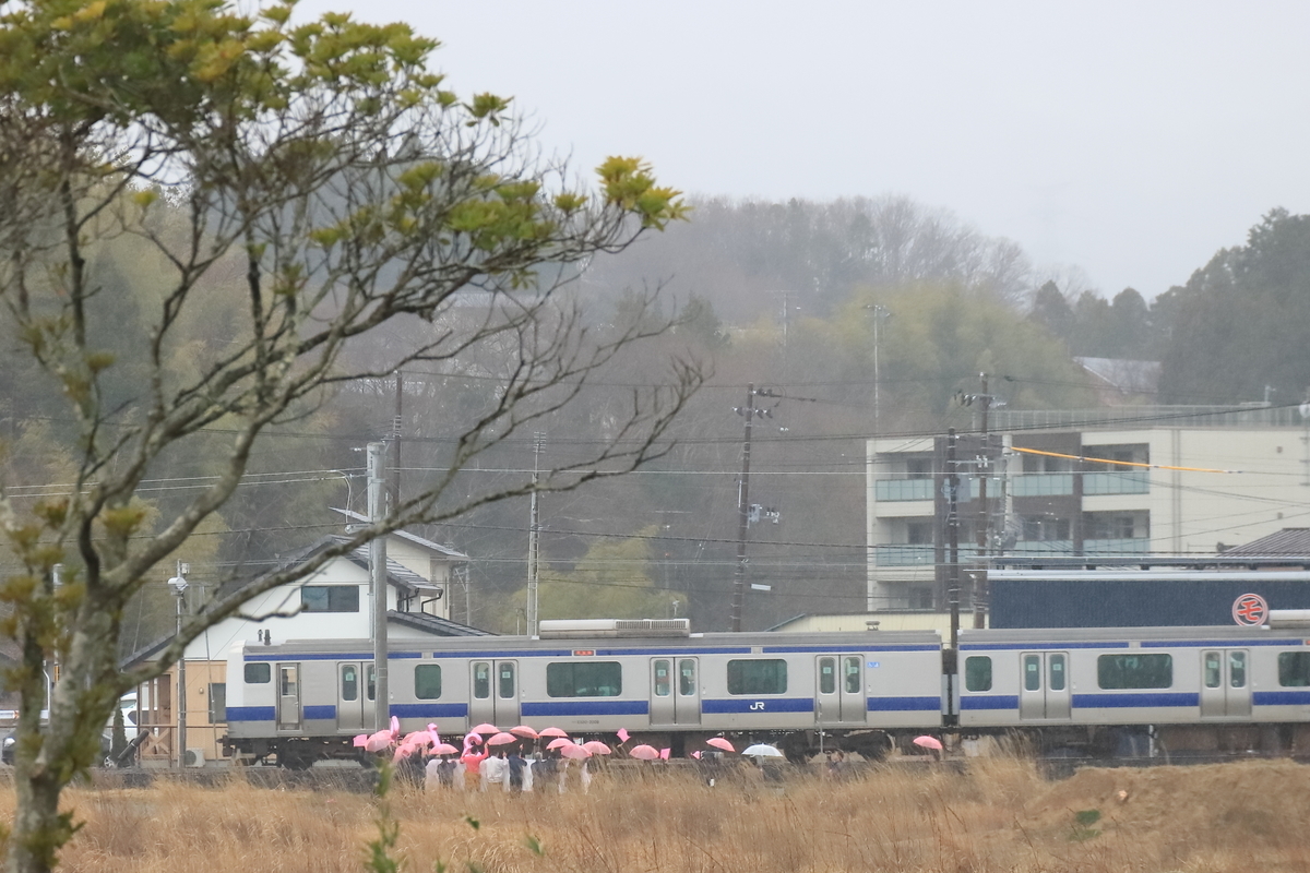 f:id:katayoku_no_hito:20200314100542j:plain