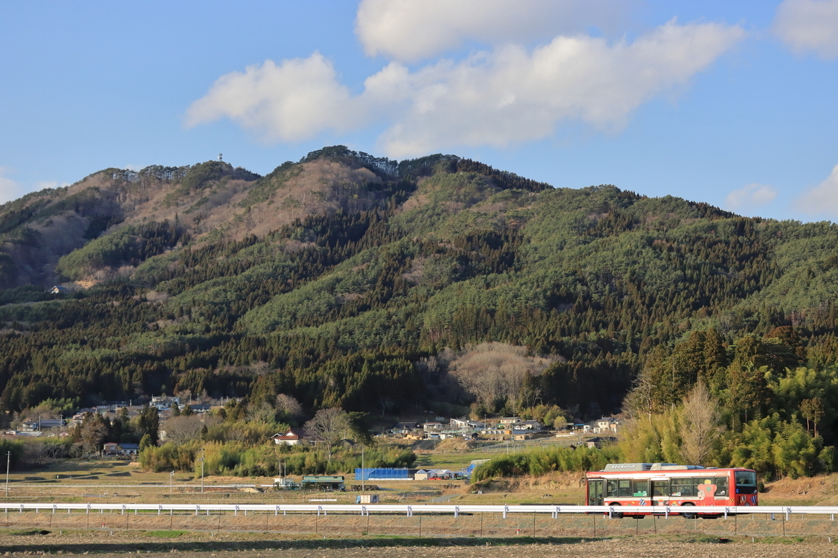f:id:katayoku_no_hito:20200322162906j:plain