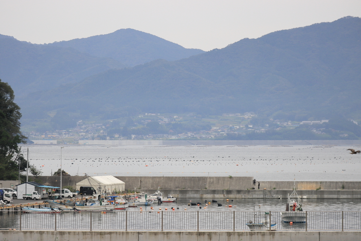f:id:katayoku_no_hito:20200921061420j:plain