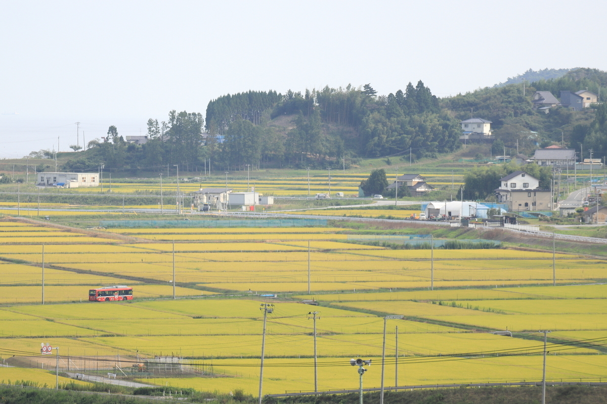 f:id:katayoku_no_hito:20200921141958j:plain