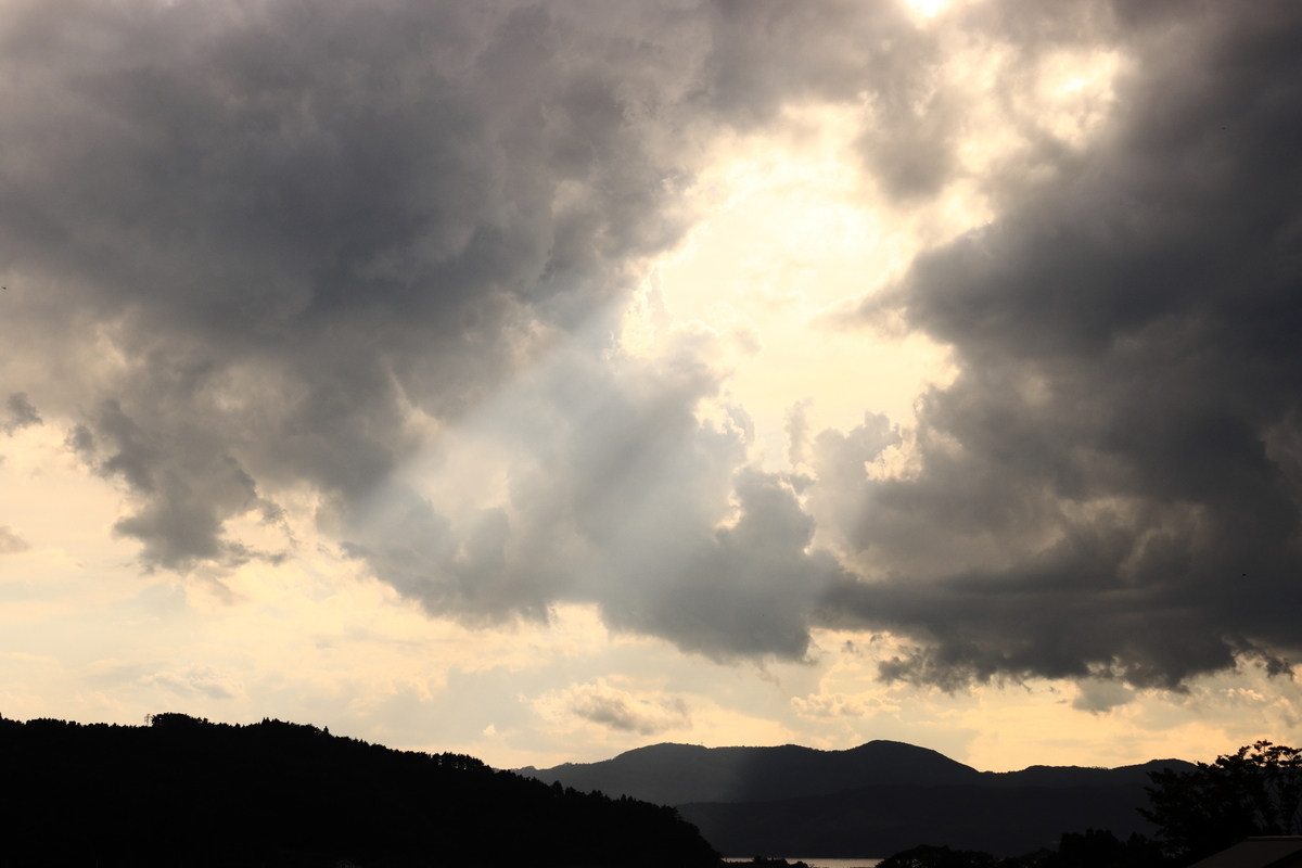 f:id:katayoku_no_hito:20200921151331j:plain
