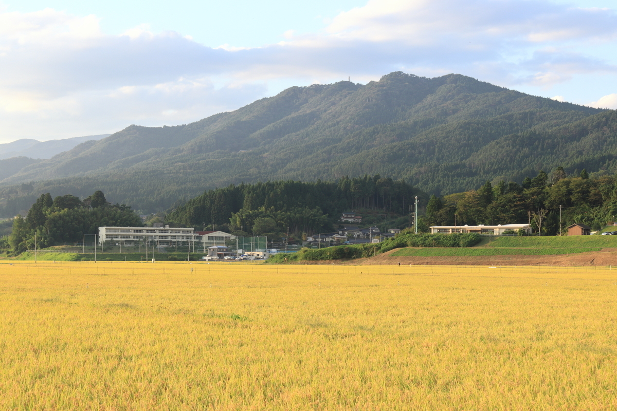 f:id:katayoku_no_hito:20200921165644j:plain