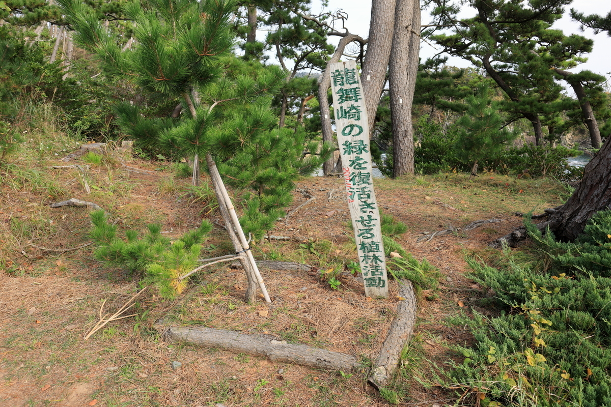 f:id:katayoku_no_hito:20201101115336j:plain f:id:katayoku_no_hito:20201101115336j:plain