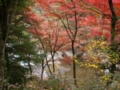 f:id:katazukemaam:20111109213818j:image:medium
