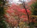 f:id:katazukemaam:20111109213819j:image:medium