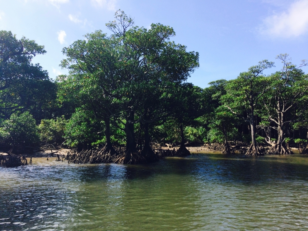 f:id:katchamans:20171110104250j:plain f:id:katchamans:20171110104250j:plain