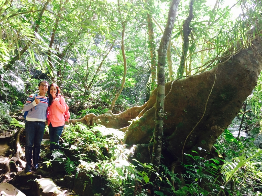 f:id:katchamans:20171110114905j:plain f:id:katchamans:20171110114905j:plain