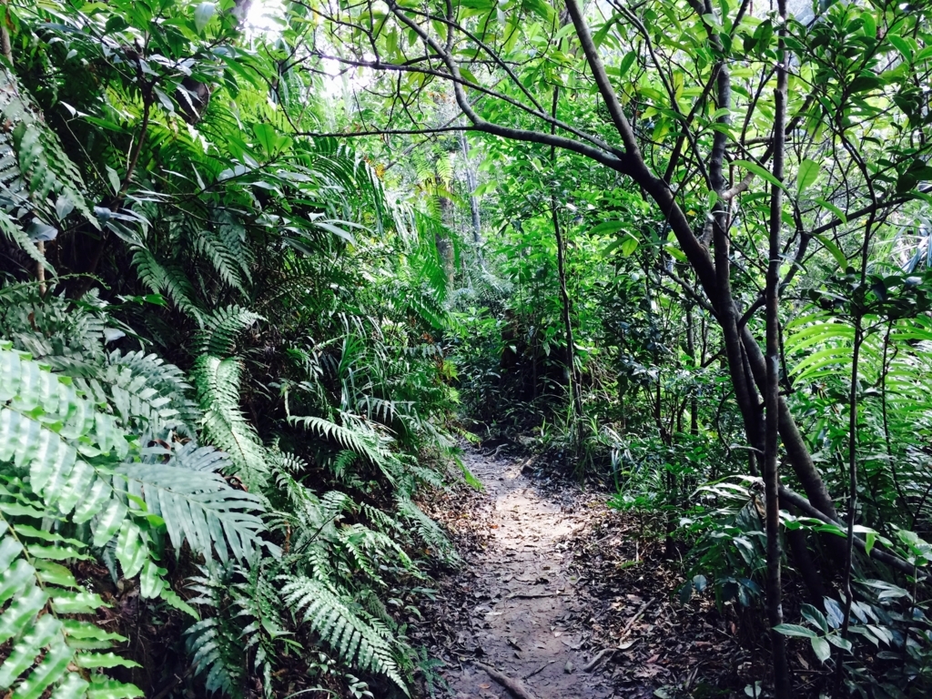 f:id:katchamans:20171110135412j:plain f:id:katchamans:20171110135412j:plain