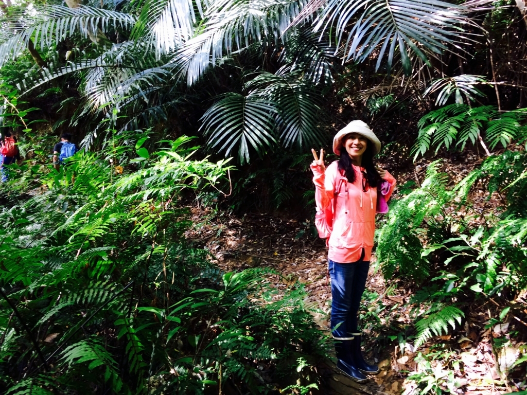 f:id:katchamans:20171110135444j:plain f:id:katchamans:20171110135444j:plain