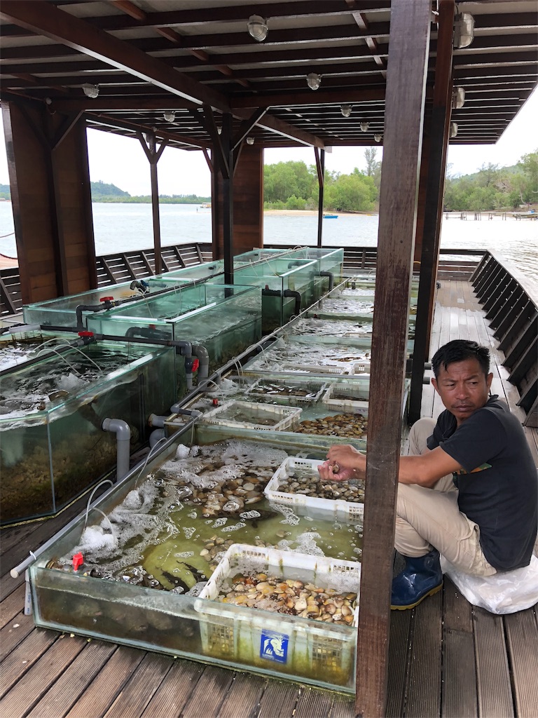 f:id:katchamans:20180628081829j:image