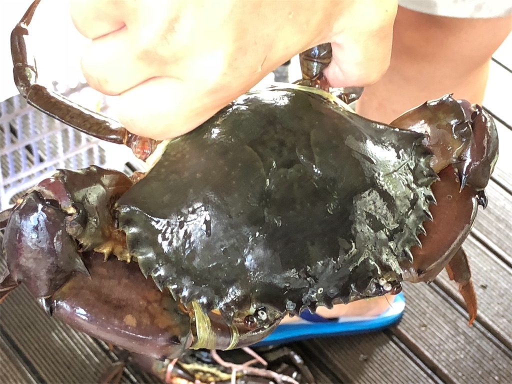 f:id:katchamans:20180628082406j:image