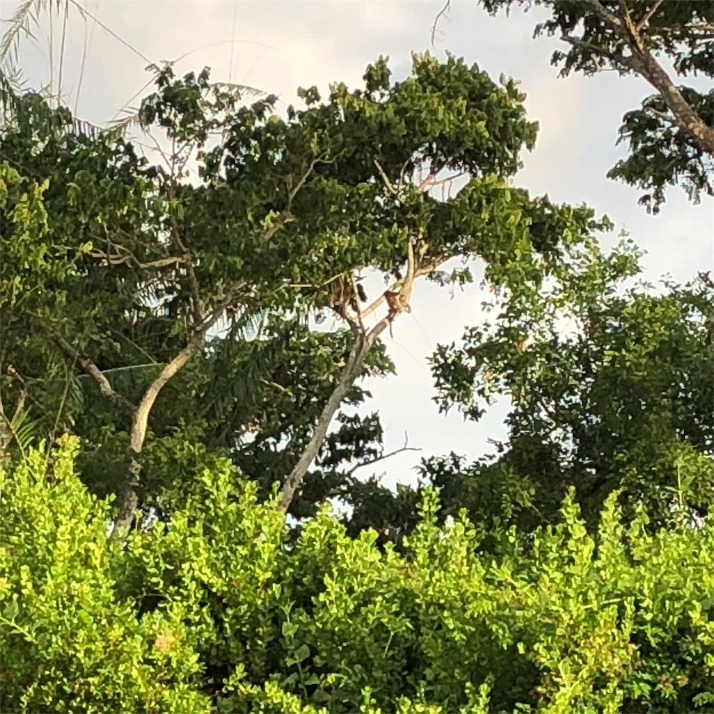 f:id:katchamans:20180630193647j:image