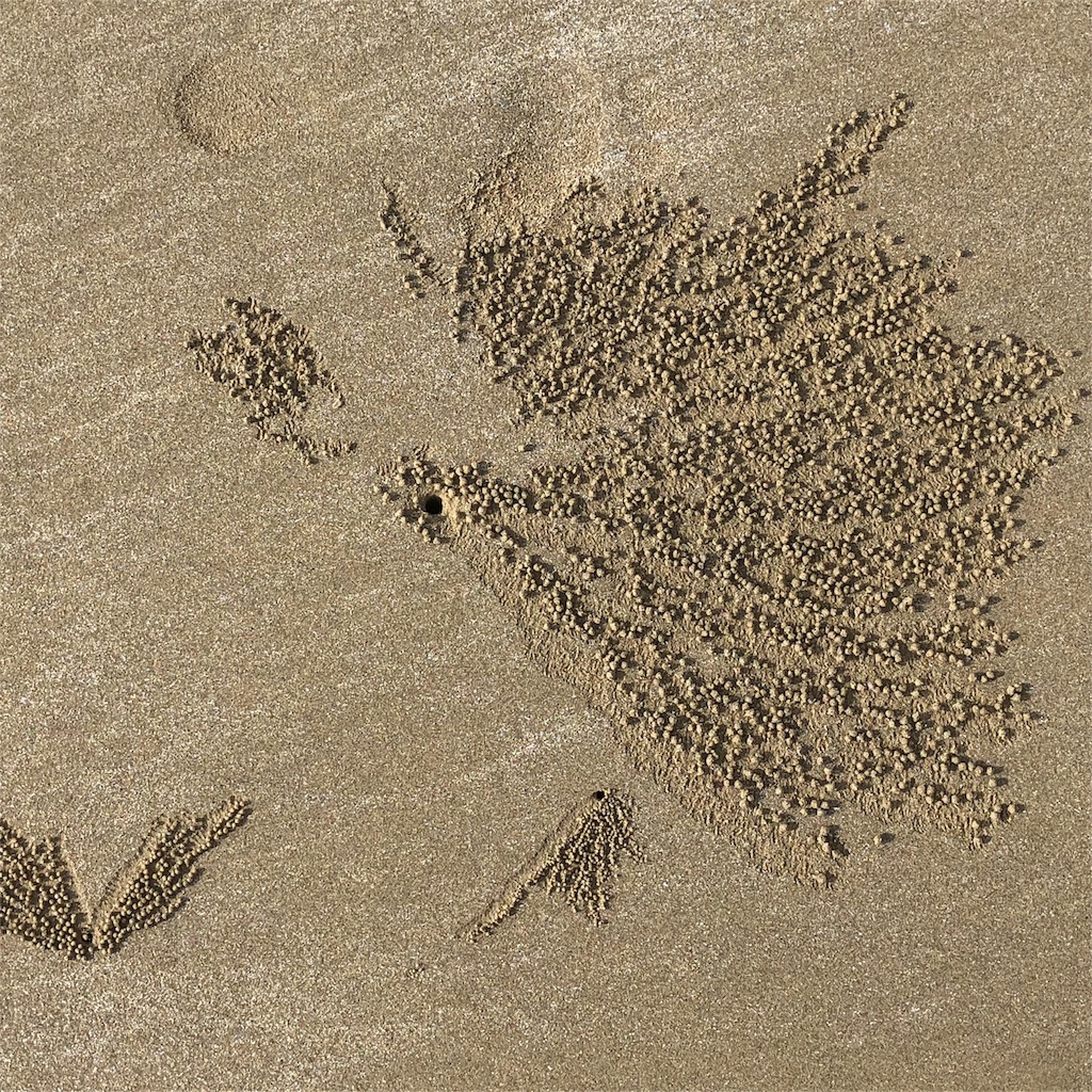 f:id:katchamans:20180701091709j:image