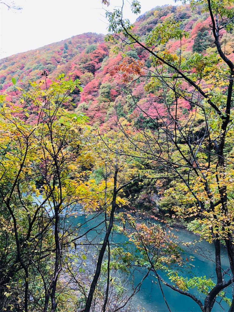 f:id:katchamans:20181031130334j:image