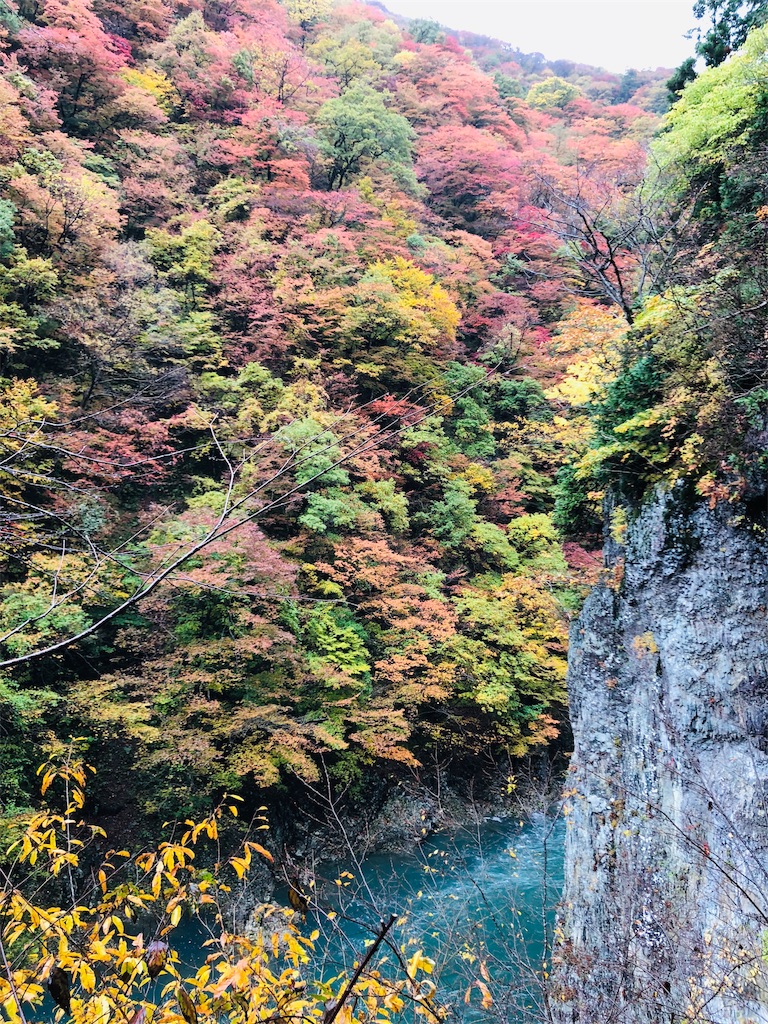 f:id:katchamans:20181031130353j:image