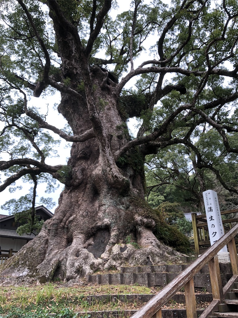 f:id:katchamans:20190110084605j:image